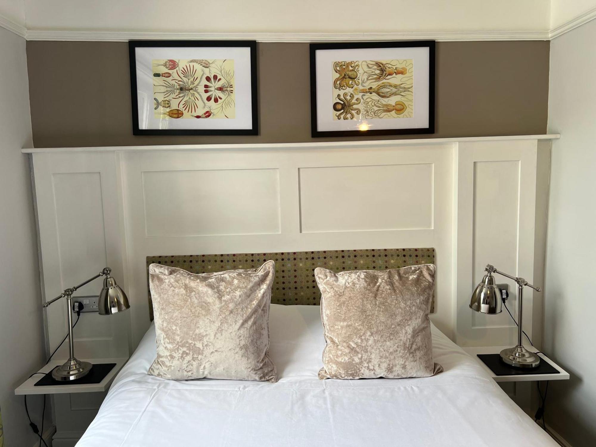 Bed and Breakfast White Horse Молдон Экстерьер фото