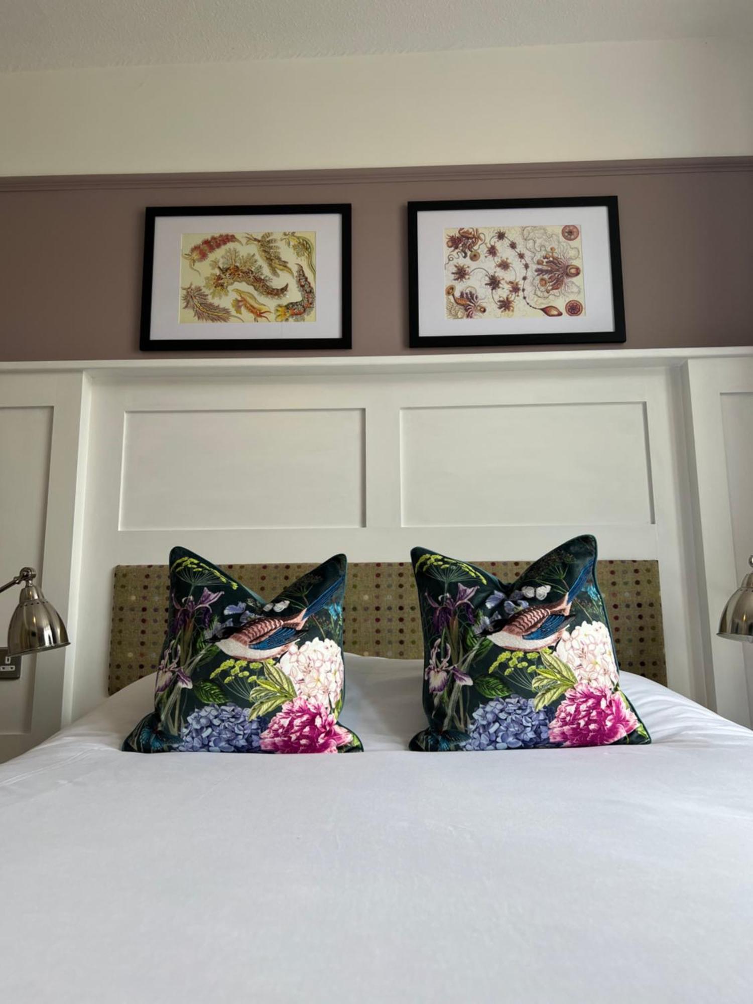 Bed and Breakfast White Horse Молдон Экстерьер фото