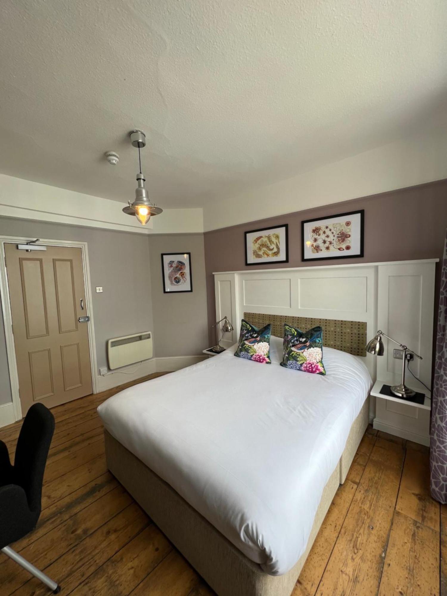 Bed and Breakfast White Horse Молдон Экстерьер фото