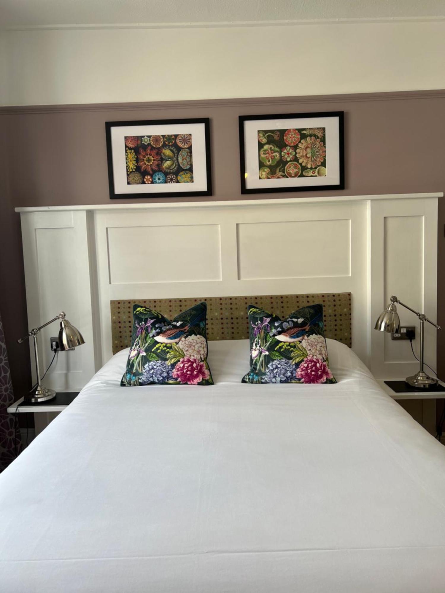 Bed and Breakfast White Horse Молдон Экстерьер фото