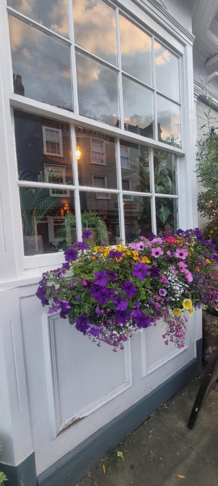 Bed and Breakfast White Horse Молдон Экстерьер фото